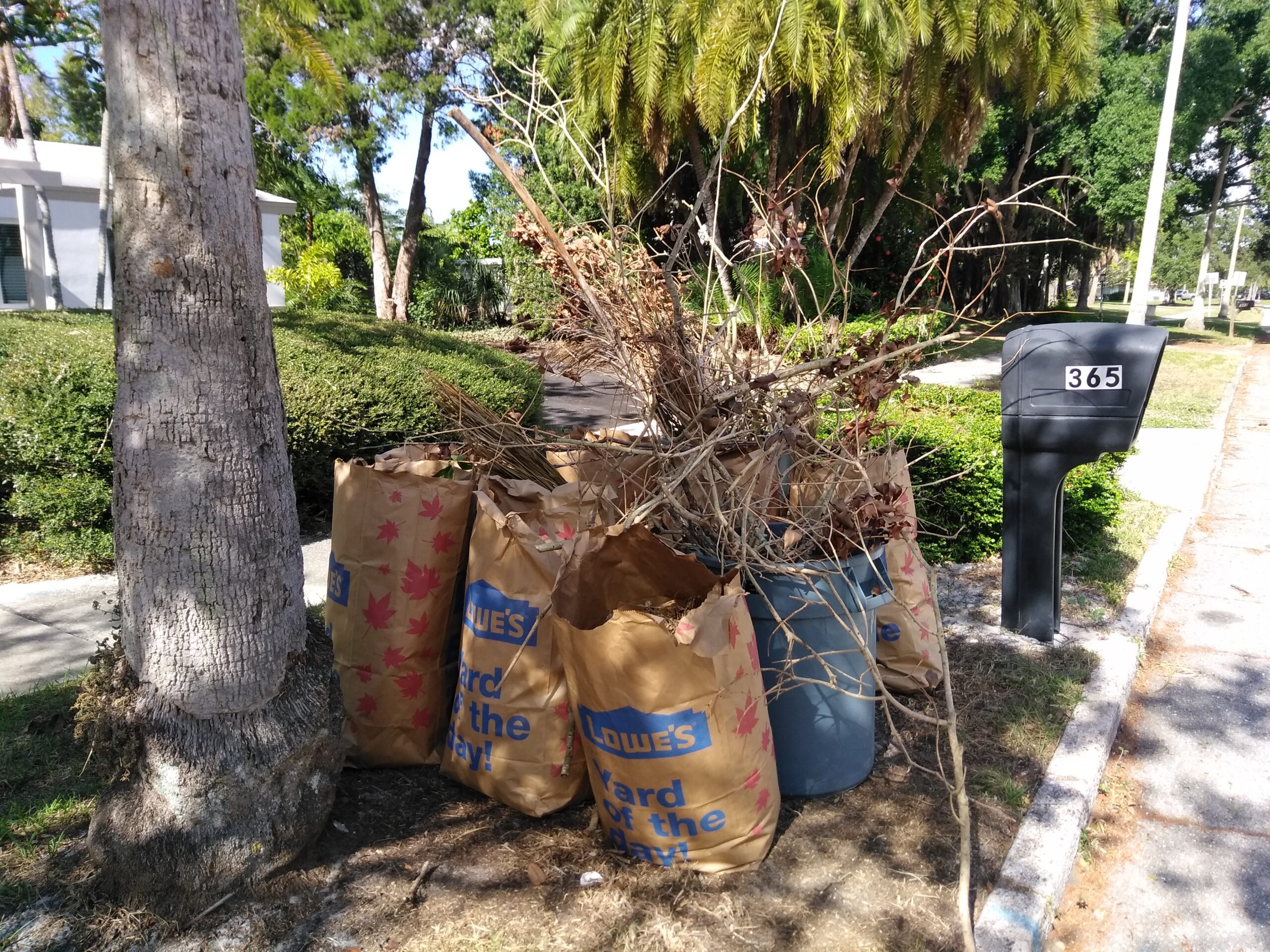 Clean Ups post thumbnail