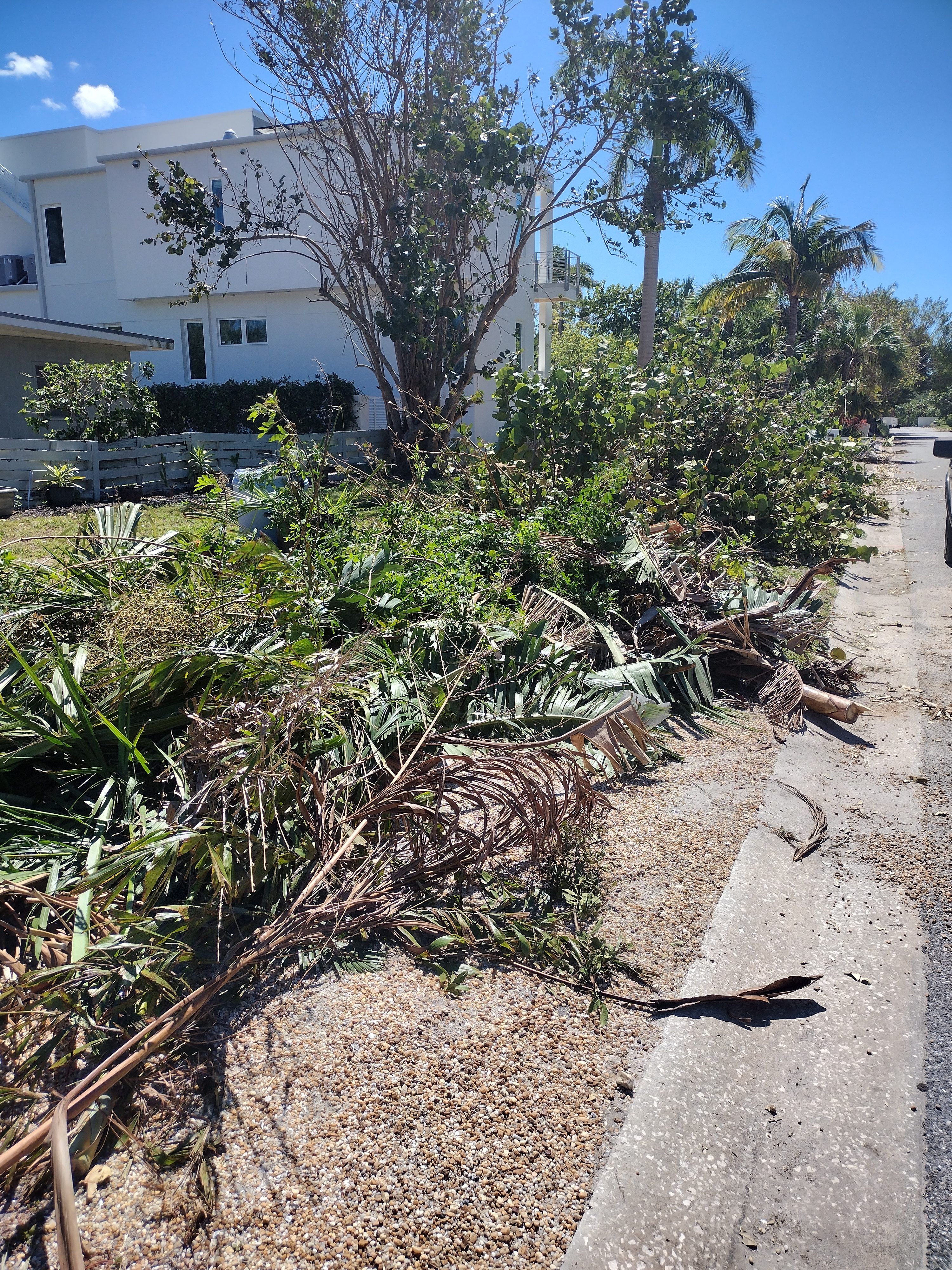 Lido Beach Hurricane Clean Up post thumbnail